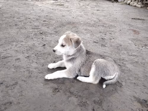 Untitled Collection #195841231