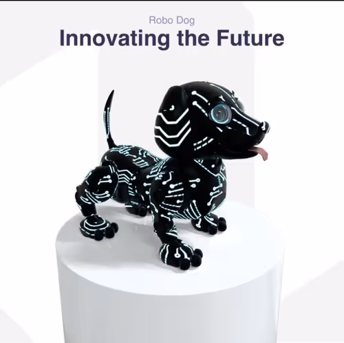 Item #5879345376184200557725520471423136969038059855981730232289353924350771724298 Media