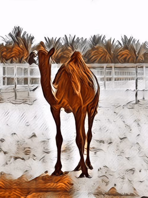 Item #36782780807699903135038144501557320909410292895804866127374726097408610009089 Media