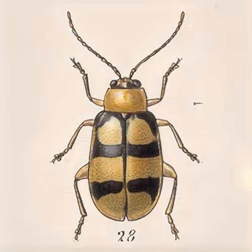 Item #58241160855422744817468407088196322100109565521561100950236904292444878667777 Media