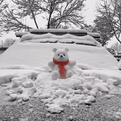 snowman2(2022)