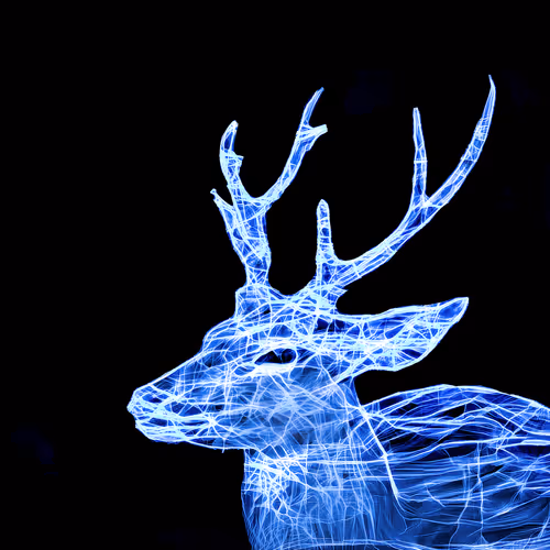 Item #41835371952023020745860012220635076645506524094652361390294664930113009745921 Media