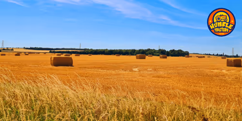 Item #35863194083128256797647772425284652682645032595179500226087347120820897972225 Media