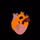 27943997564713138977399818251953108137646750928518859692902451152941511344228