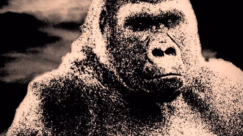 Item #105394010161551018097936078642910549059002323015222353178191529761114945486849 Media