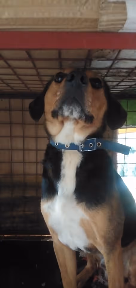 Item #23439807421783349604606688817165201350165750151979961366033252229302246703105 Media