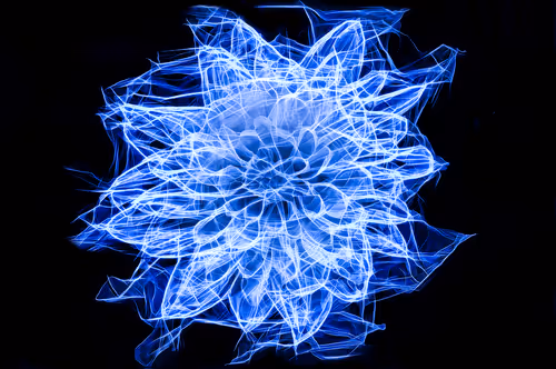 Item #41835371952023020745860012220635076645506524094652361390294664922416428351489 Media