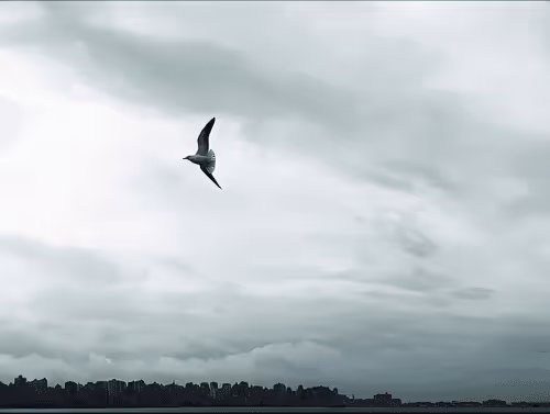 Item #99240698403131764357396770641695198226804647575338296481324929428176806871041 Media