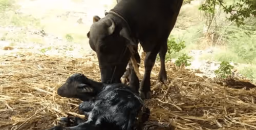 39916610678052500138596211548792698776473563312308341193271399272024171872257