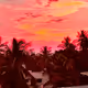 Pink Sunset