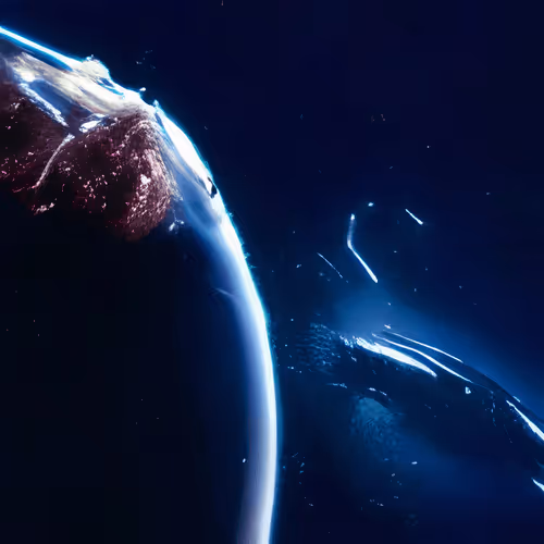 Item #58785028591652858153131649367186787136849468888114093320970049054267450327340 Media