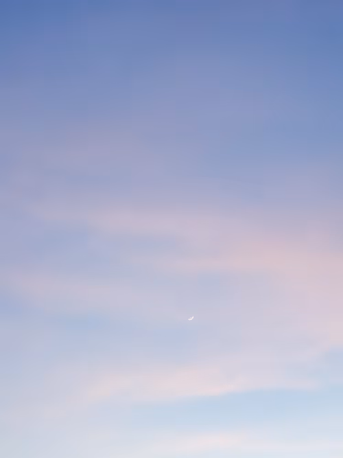 Item #106855806571314191814347399470069555839974214909318897347760710095016432762881 Media