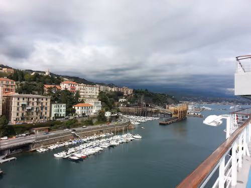 Untitled Collection #194466915