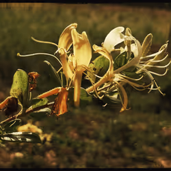 3787080761074609709675817509753112159059746763483256848434353782096780066817