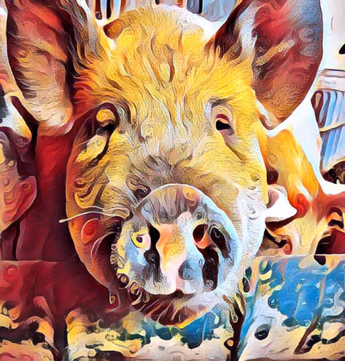 Item #47237781251135923353742950703176233702215495695736078562832556051073916207105 Media