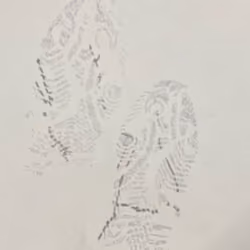 FootMap Glitch #3