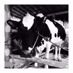 78926493058180902224951420418338520494143290950102848006872373393544739553281