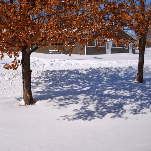 Item #54398074821648639644843486163227070029680718163235446122887911471090667356161 Media