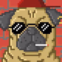 Pug 7