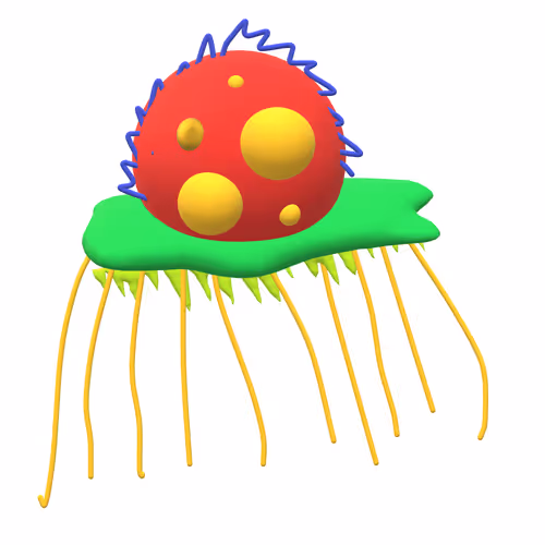 Item #18851208086362950660564177364032598438770588654457674820991694069851993669633 Media