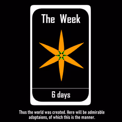 The Week #6