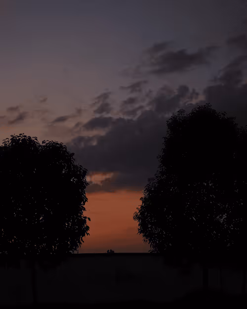 Item #31630153570856376306823190800149033505435787599311266983693315947351198662657 Media