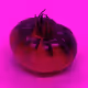 110692649264369377071495627220392981109400302920527361961030166684373811724289