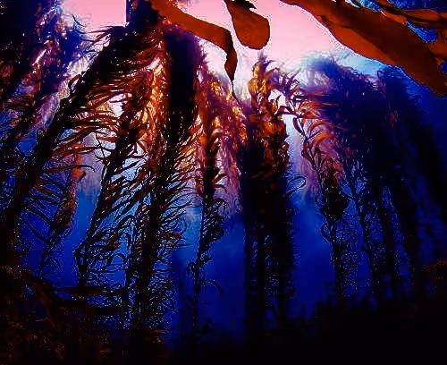 66323263018111989003093332246037877749600367798036049985221264092784368812047