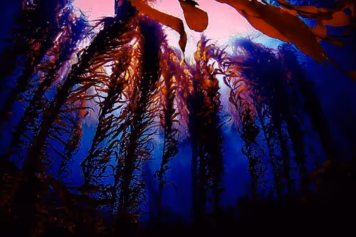 Item #66323263018111989003093332246037877749600367798036049985221264092784368812047 Media