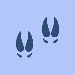  Crypto FootPrint -#30 [Moose FP]