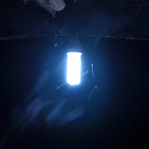 10921472281899964169532918849758086679170676756240661664806421756366771191809