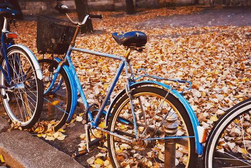 Item #35339417924445304267052449174579644074826086506751043788329225527940173791237 Media