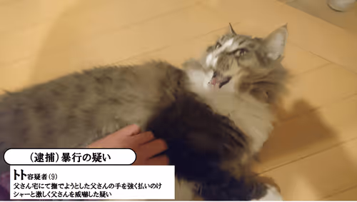 Item #88680272721371285934501562988049178859599418492822572919113237430075287142401 Media