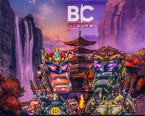 ninja village 