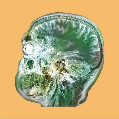 Item #103537199481813866111275584604128457749935418294223134182320110224978204426241 Media