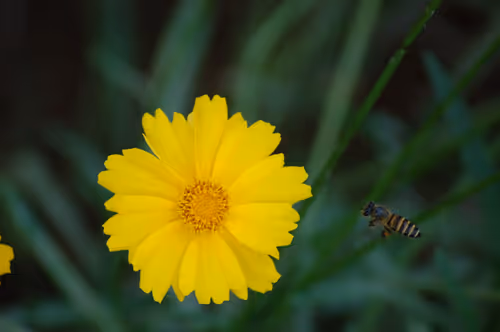 10921472281899964169532918849758086679170676756240661664806421750869213052929