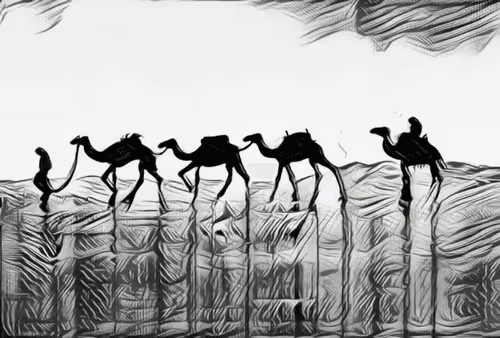 Item #63688406641092808287095697662939930553125729459924580387106277090658000830465 Media