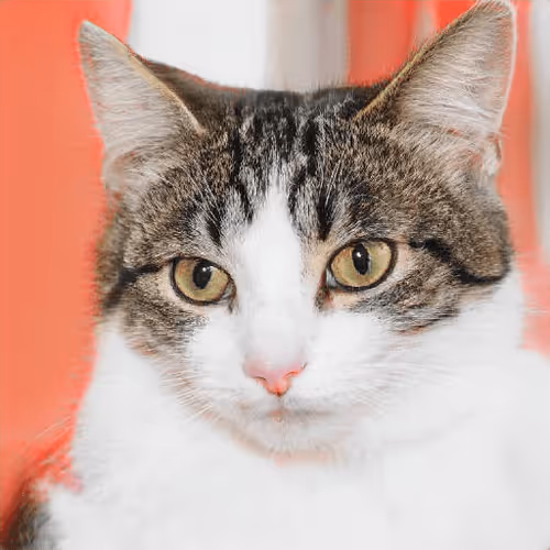 Item #106393158711752592444527764053332067386103257112262188176365269052709849268225 Media