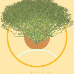 74168867016011539093366687608765447348507224284888477074887989711080597225473