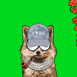 13313825994980351745506845005889443412334519340224243119891185594951824048129