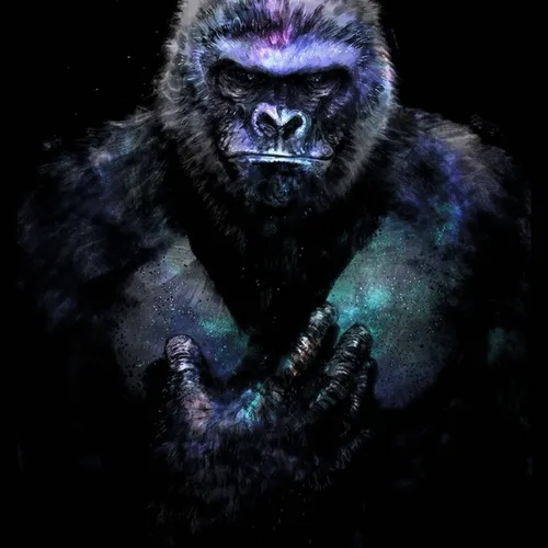 Item #48962084060186019940623196789396244510789399652711377126682244801200356589588 Media