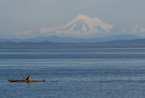 Item #16169064393399629467859942900905405490006492366557123064973208588919953686529 Media