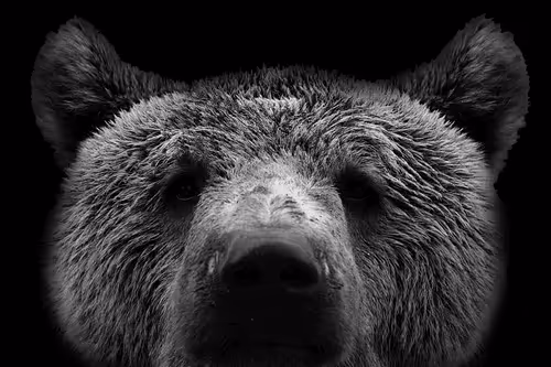 Item #28567716502395368545190530539508003003615259793471226078435859185785727090738 Media