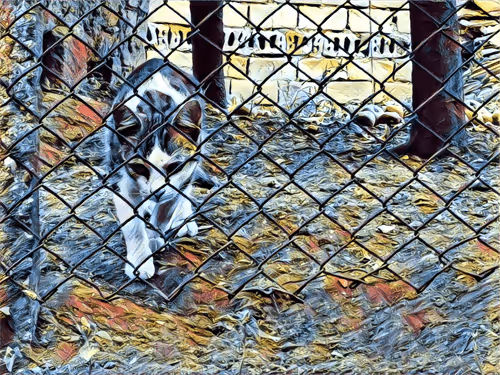 Item #46397680814911453718365897270123246439130732684861044295736255993452248956929 Media