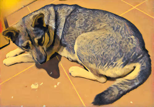 Item #74122138759525378795667626270866148487737655975912799548892276396884171423745 Media