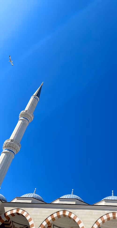 Item #57164340370605487482771130434956821177092171765090651853542028308797653516289 Media