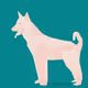32615201641777169241736211378800368188640988693717294170741455260910044053505