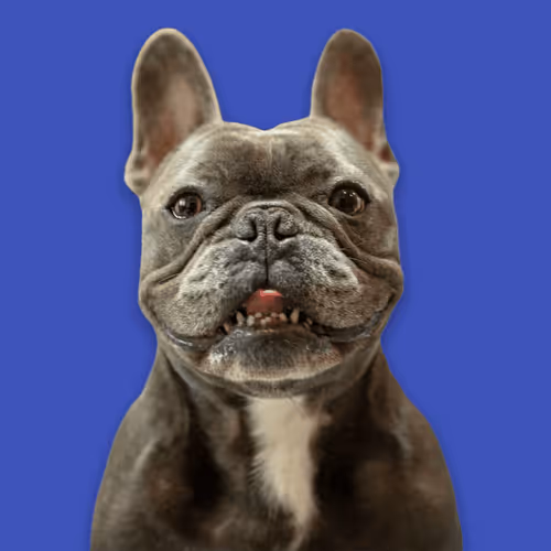 99031261785432219130552668818269695456905868997165113515571762257678580056065