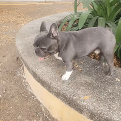 32237202173720727343948986965561335091197107318394763909165930960516190044161