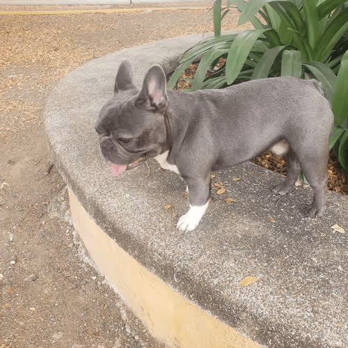 Item #32237202173720727343948986965561335091197107318394763909165930960516190044161 Media